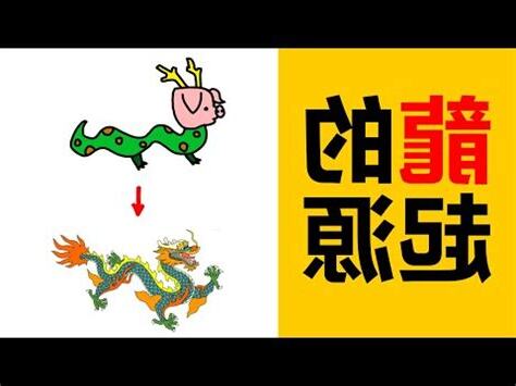 龍 意思